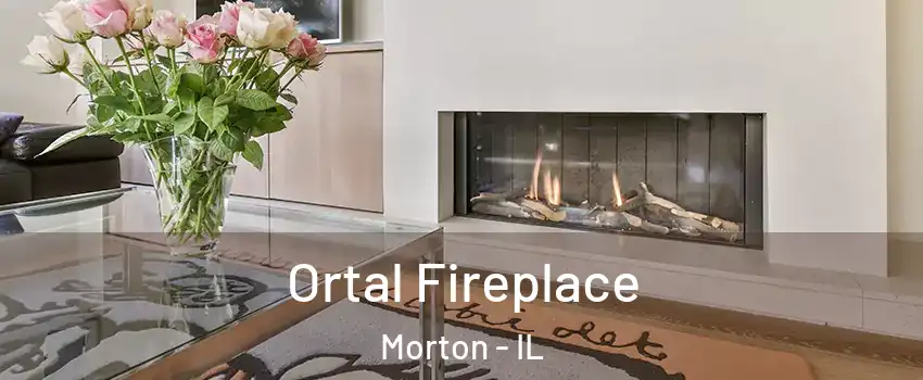 Ortal Fireplace Morton - IL