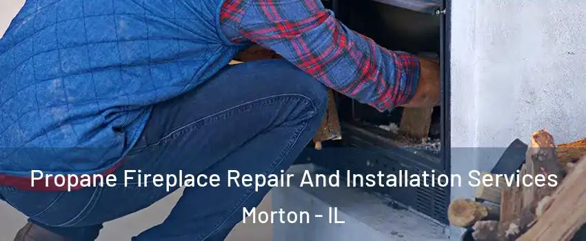  Propane Fireplace Repair And Installation Services Morton - IL