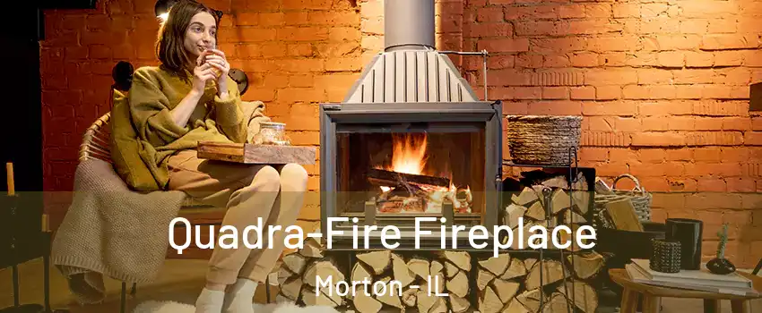  Quadra-Fire Fireplace Morton - IL