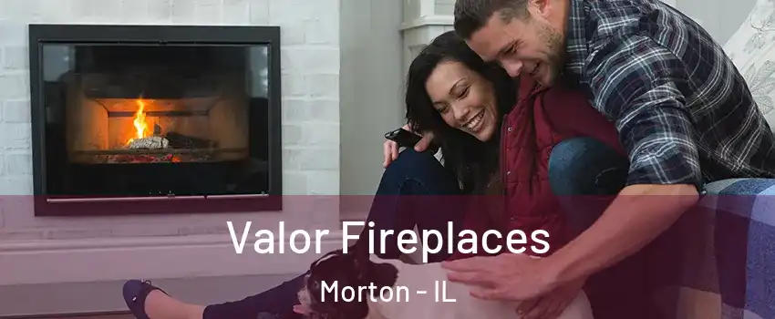  Valor Fireplaces Morton - IL