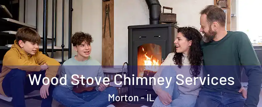 Wood Stove Chimney Services Morton - IL